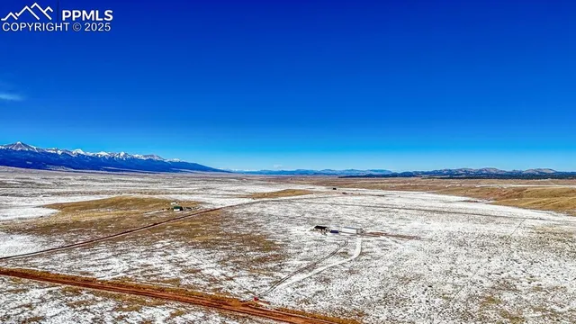 a city view with tall trees