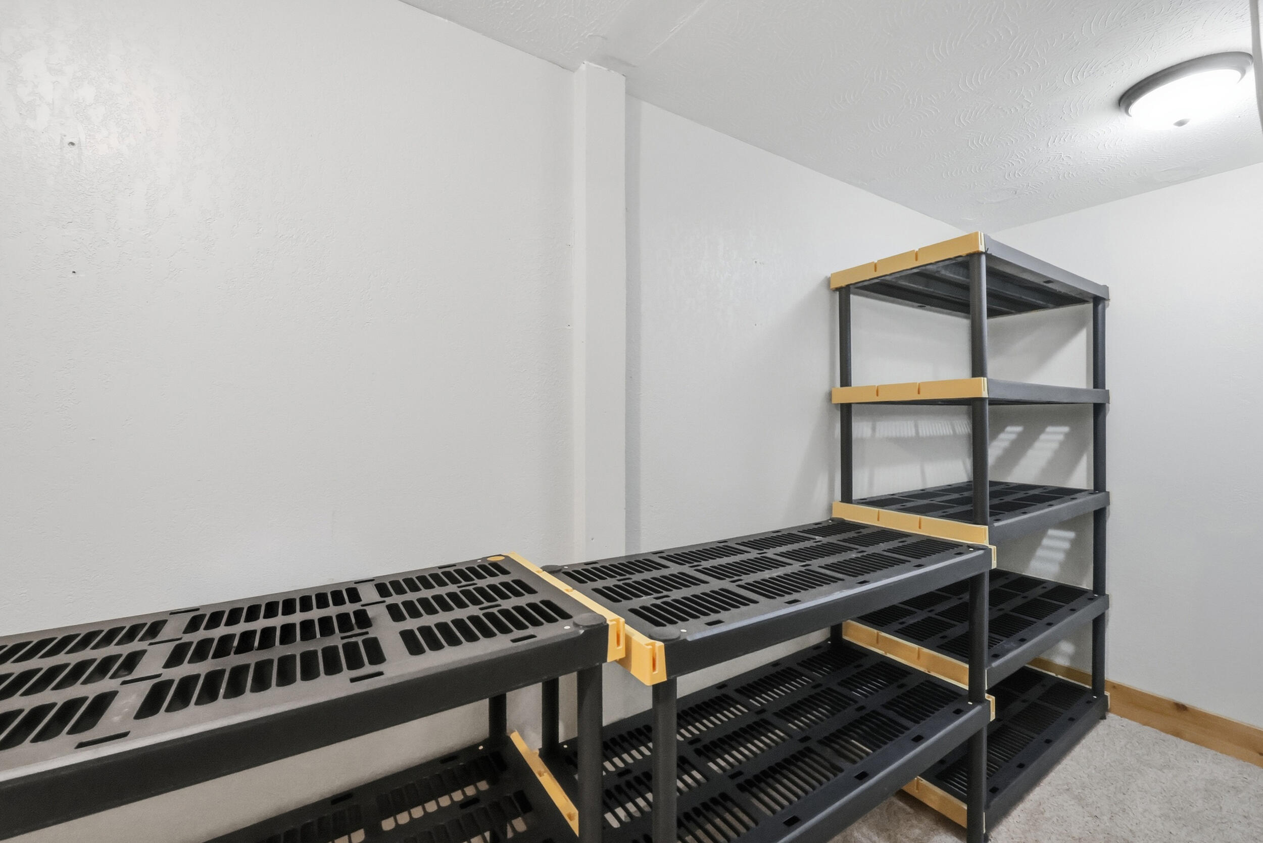 1531 Aaron Barnett Road Lawrenceburg, KY 40342 - Photo 48 of 60 Lower Level Storage