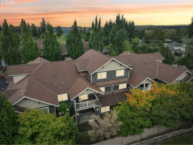 an aerial view of a house with mountain view
