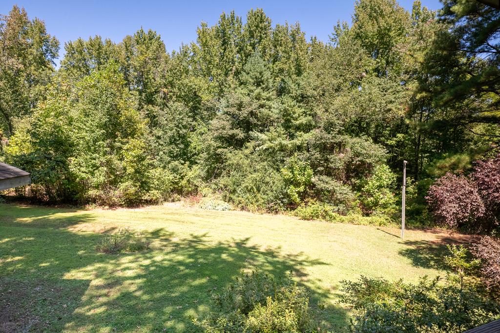 7050 Mountain Road Halifax, VA 24558 - Photo 37 of 54 Gallery Image 37