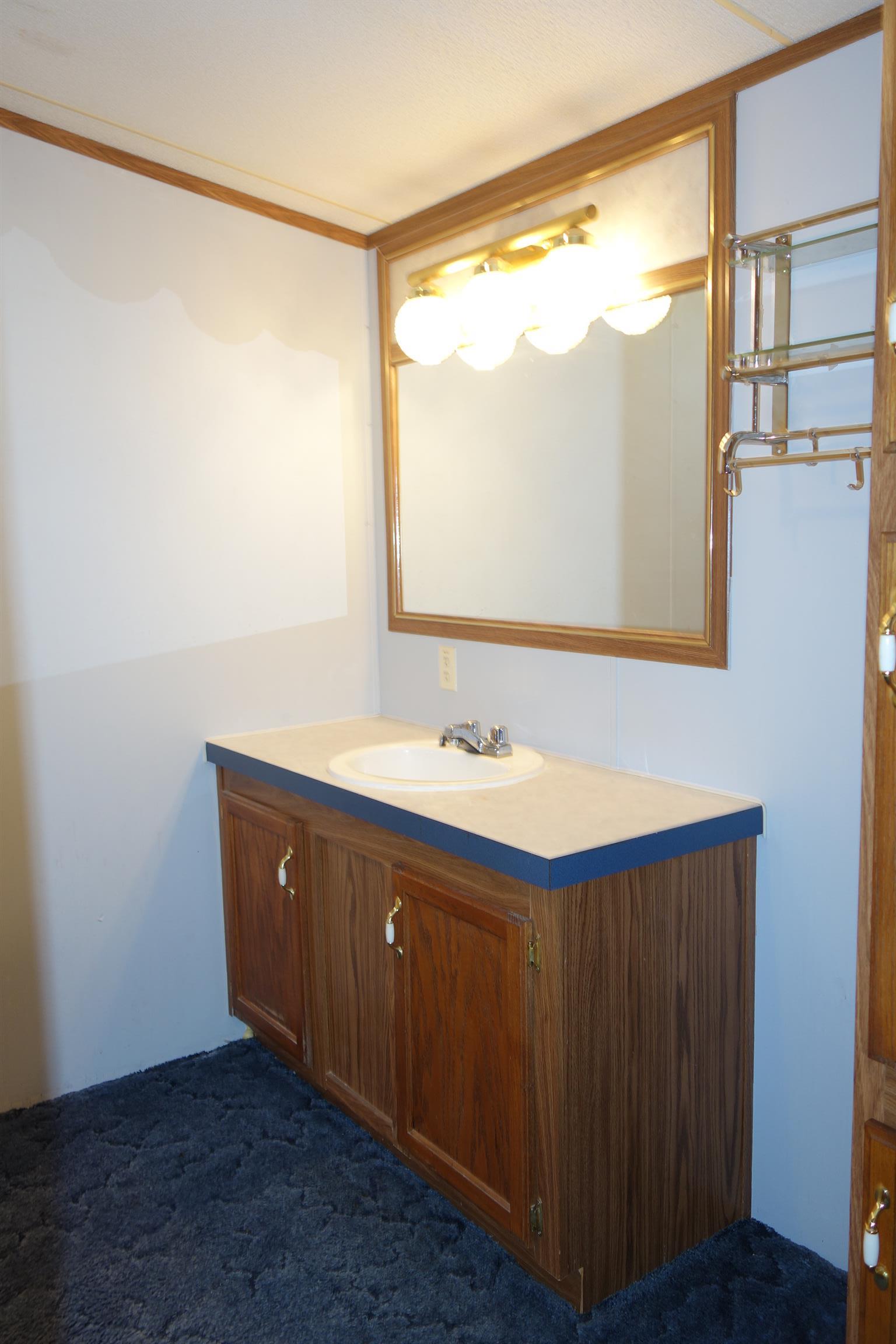 114 East Biggs Road Portland, TN 37148 - Photo 23 of 26 a bathroom with a sink and a mirror