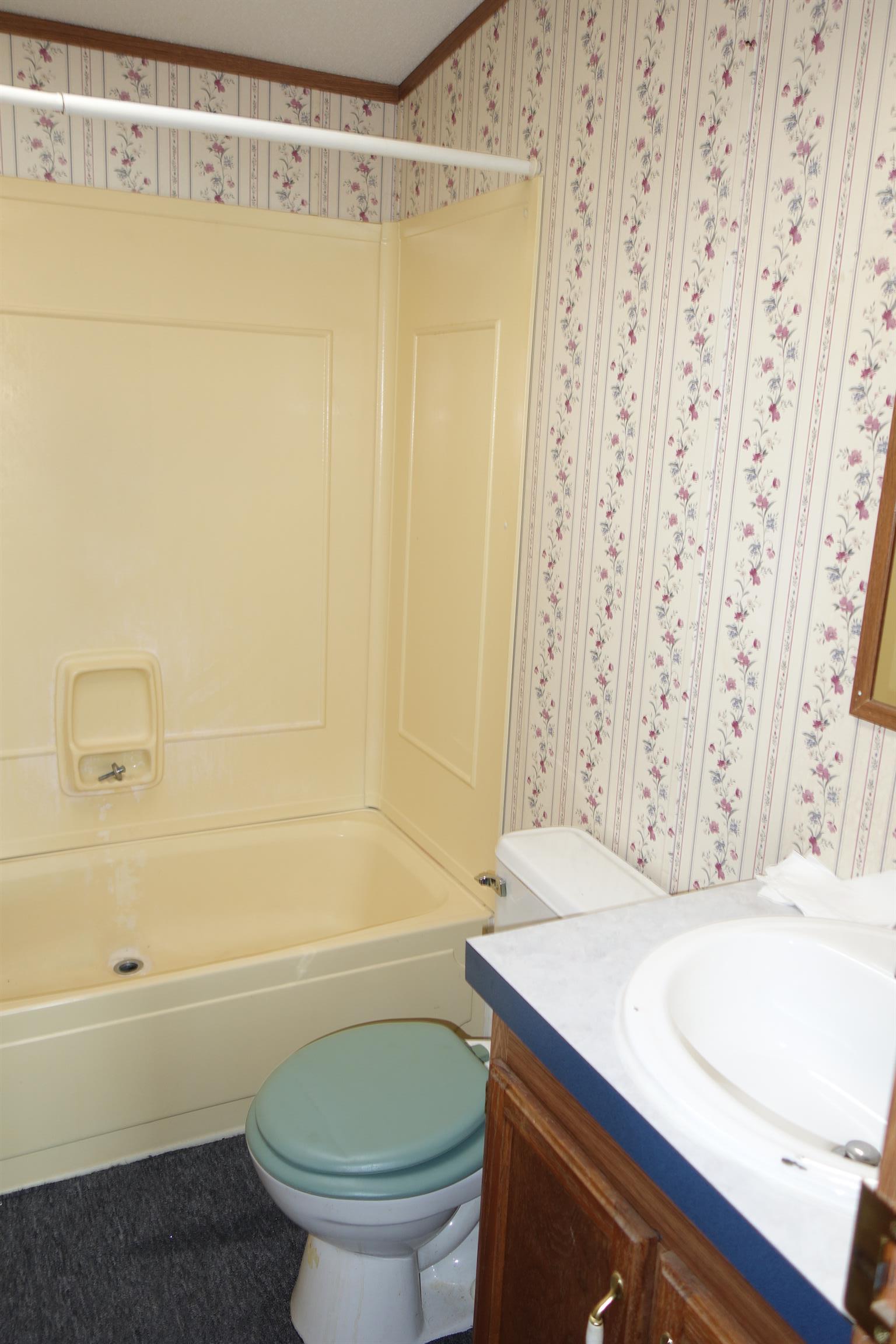 114 East Biggs Road Portland, TN 37148 - Photo 26 of 26 a bathroom with a sink a toilet and a bathtub