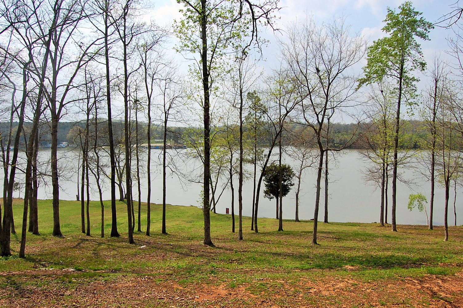 703 Lakehaven Circle Decatur, TN 37322 - Photo 3 of 38 DSC_0737 (2)