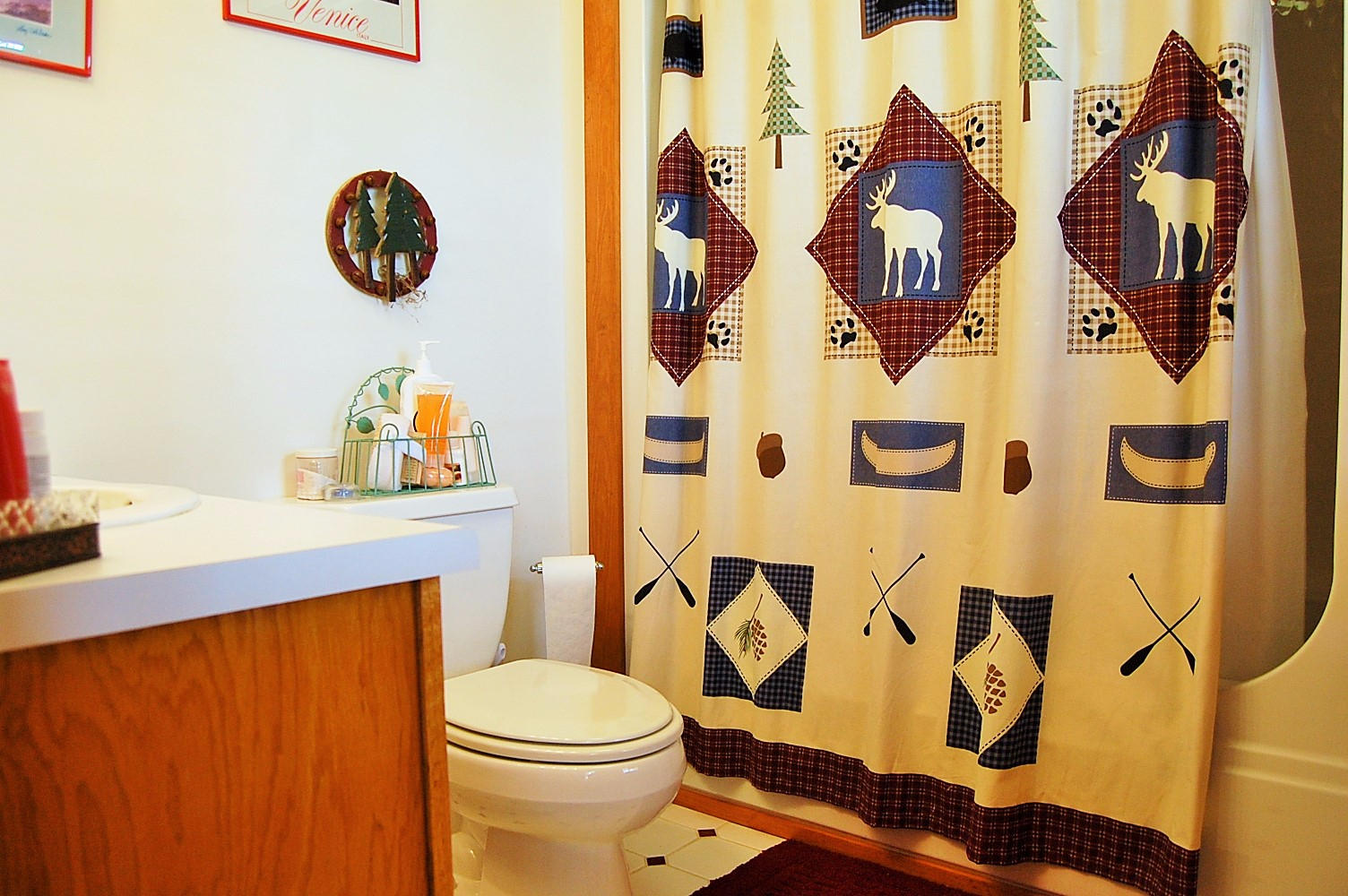 703 Lakehaven Circle Decatur, TN 37322 - Photo 21 of 38 Master bath (2)