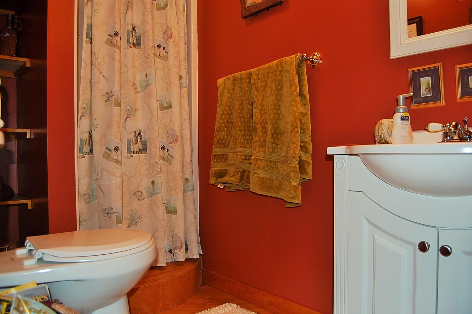 703 Lakehaven Circle Decatur, TN 37322 - Photo 28 of 38 Lower level bathroom (2)
