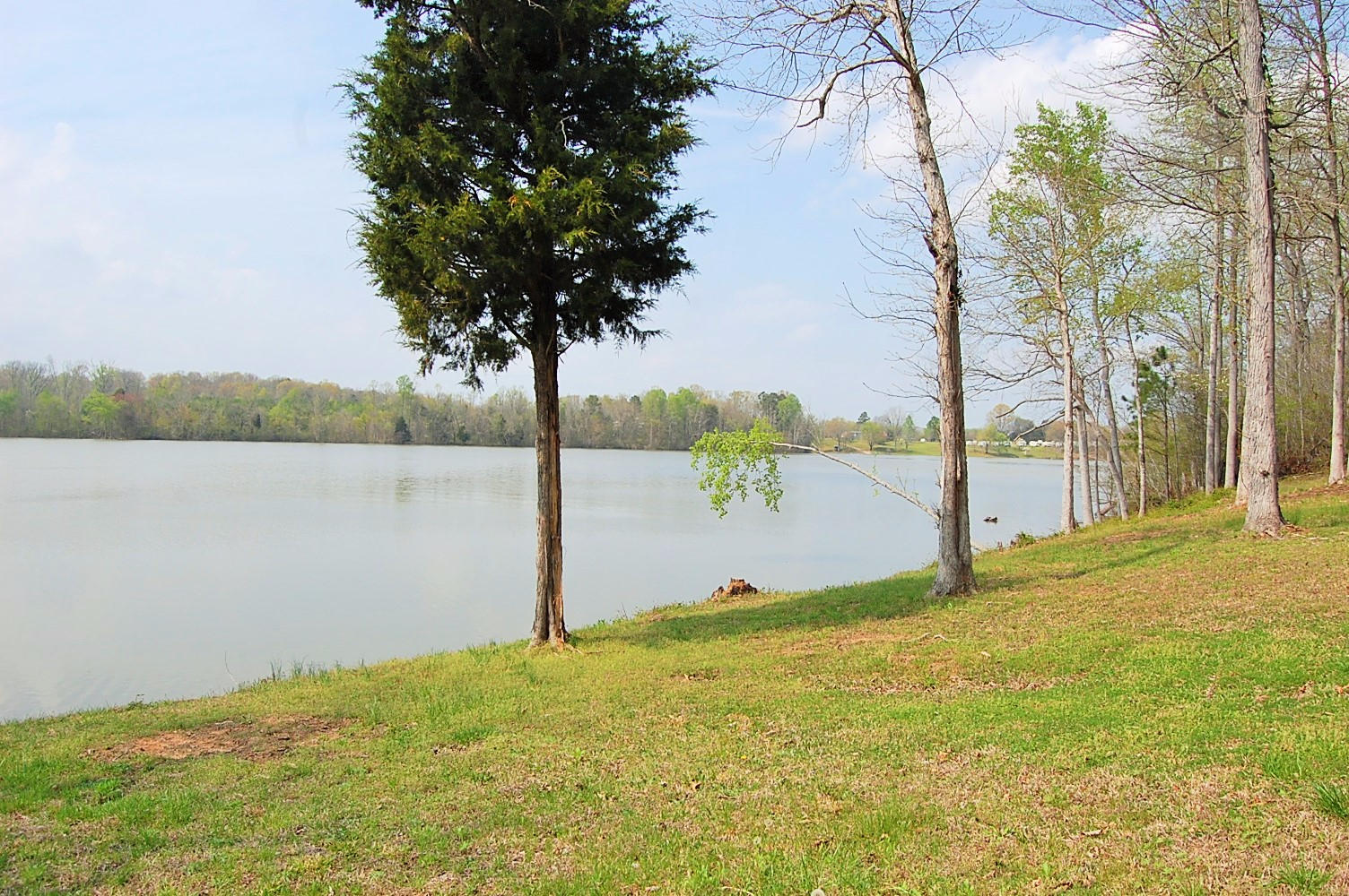 703 Lakehaven Circle Decatur, TN 37322 - Photo 30 of 38 DSC_0749 (2)