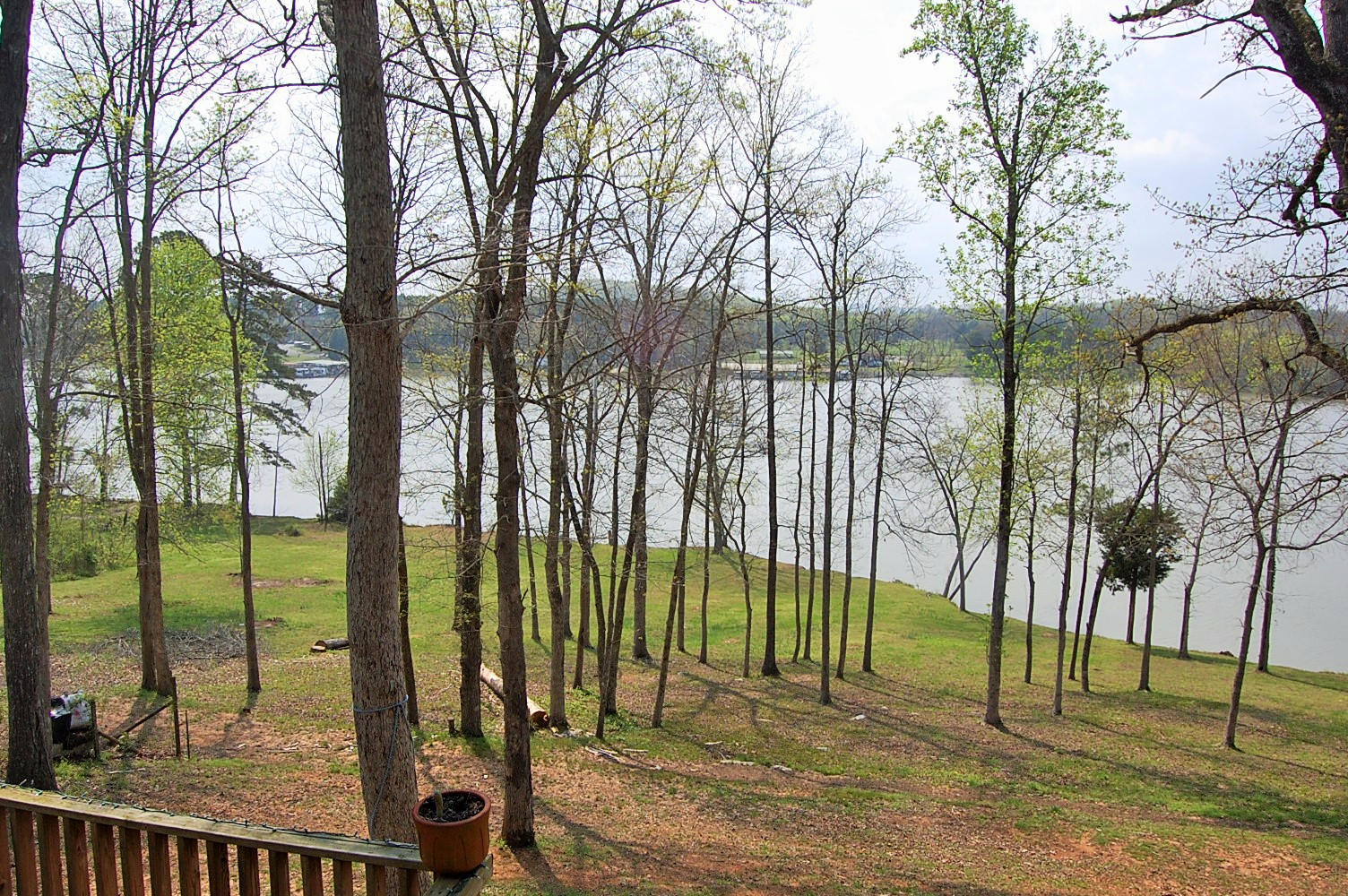 703 Lakehaven Circle Decatur, TN 37322 - Photo 32 of 38 DSC_0790 (2)