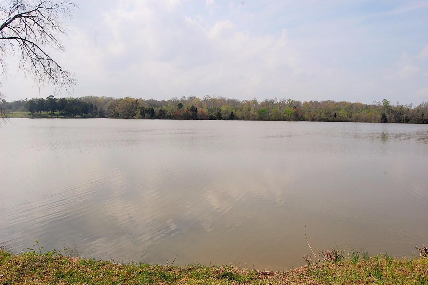 703 Lakehaven Circle Decatur, TN 37322 - Photo 37 of 38 DSC_0750 (2)