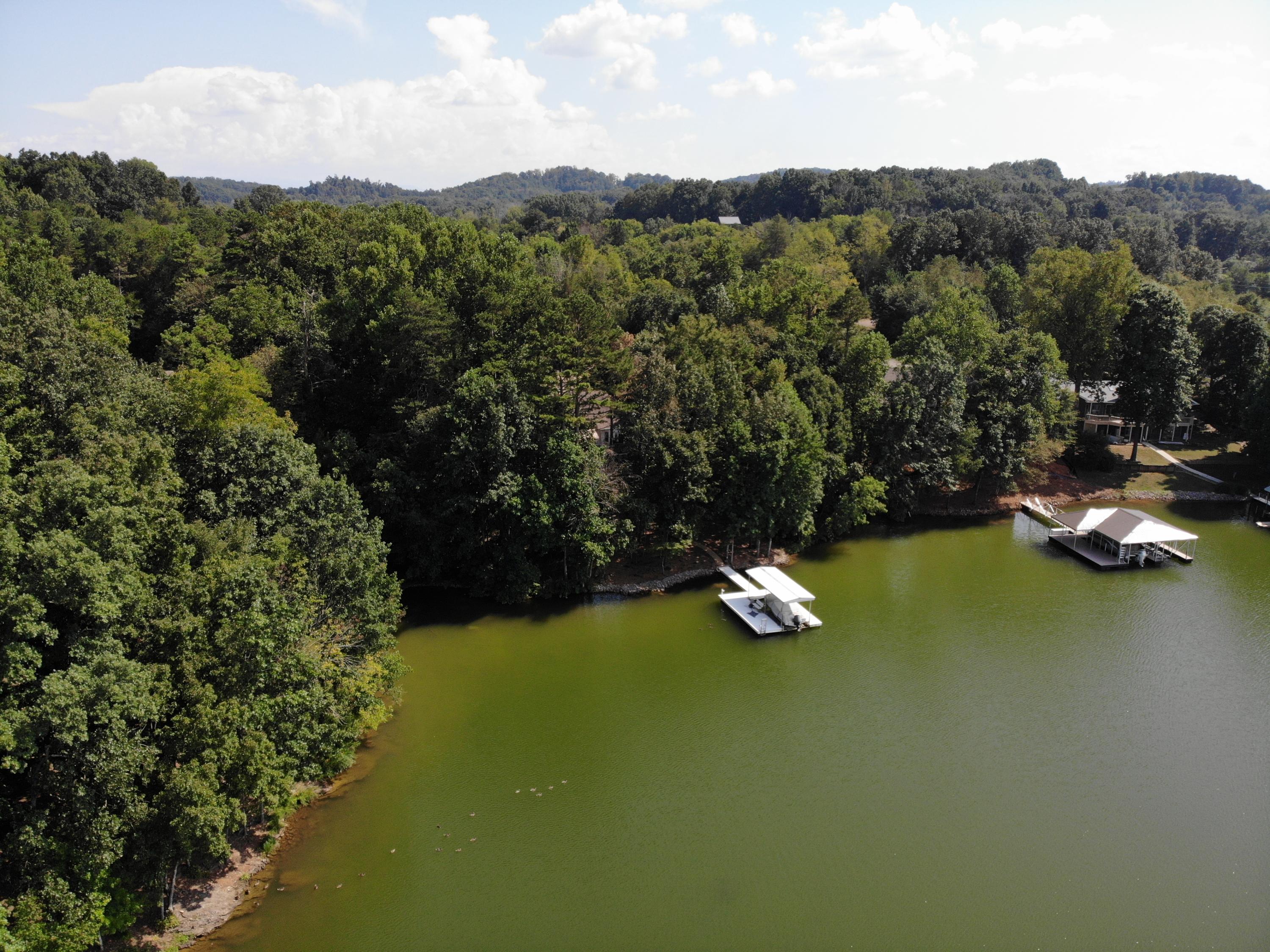 120 Inagehi Way Loudon, TN 37774 - Photo 1 of 13 Lot and common area