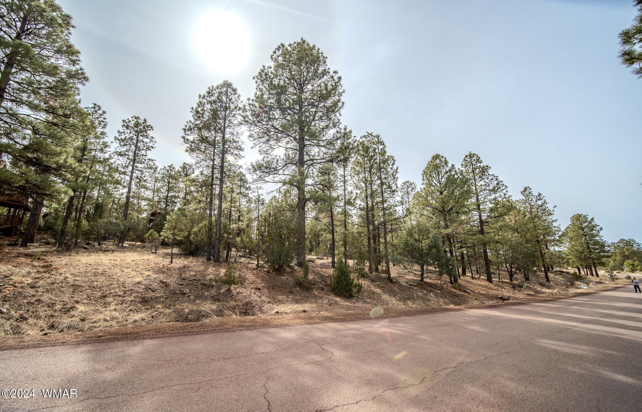 2273 Constellation Lane Overgaard, AZ 85933 - Photo 13 of 31