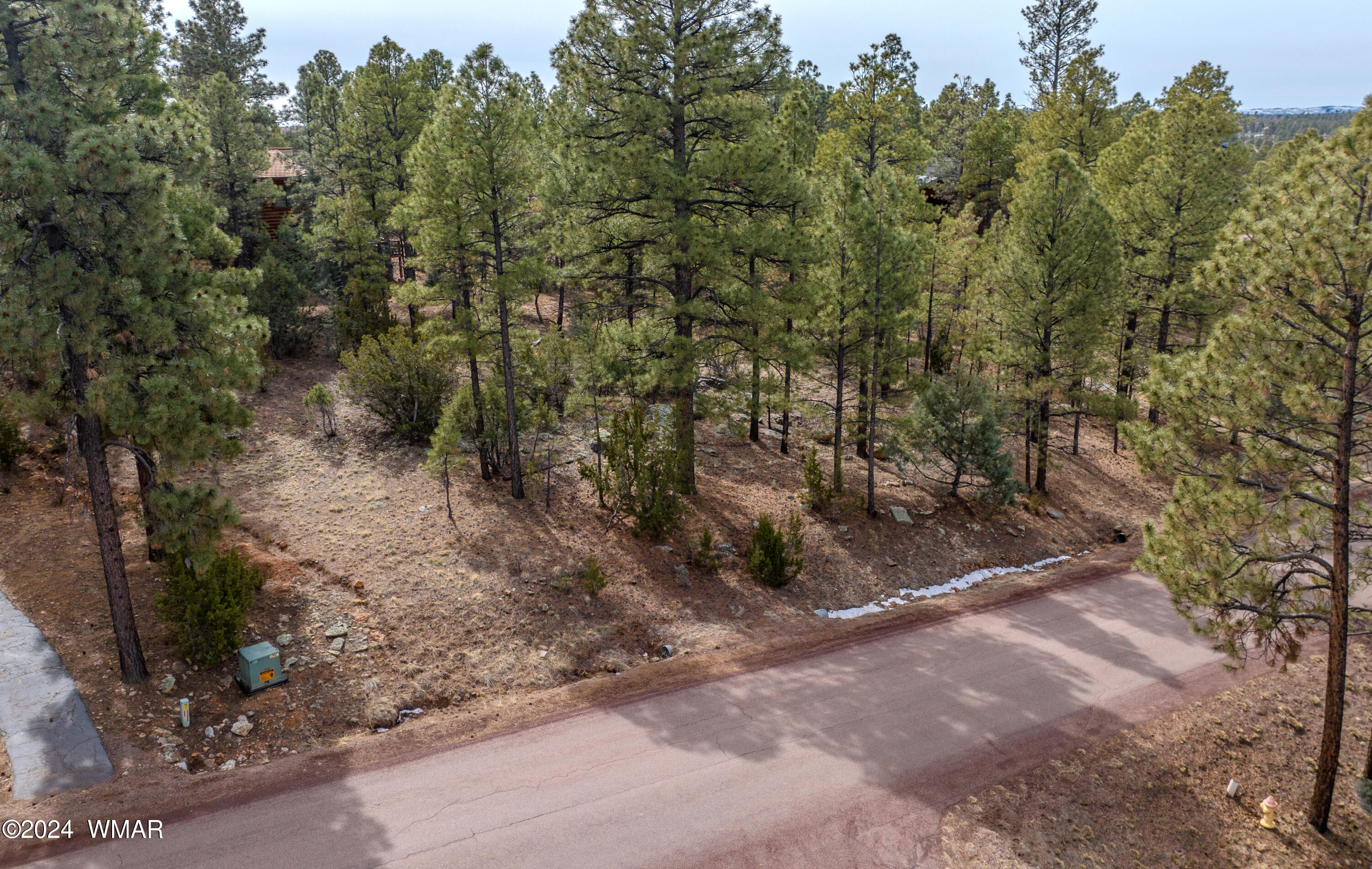 2273 Constellation Lane Overgaard, AZ 85933 - Photo 18 of 31