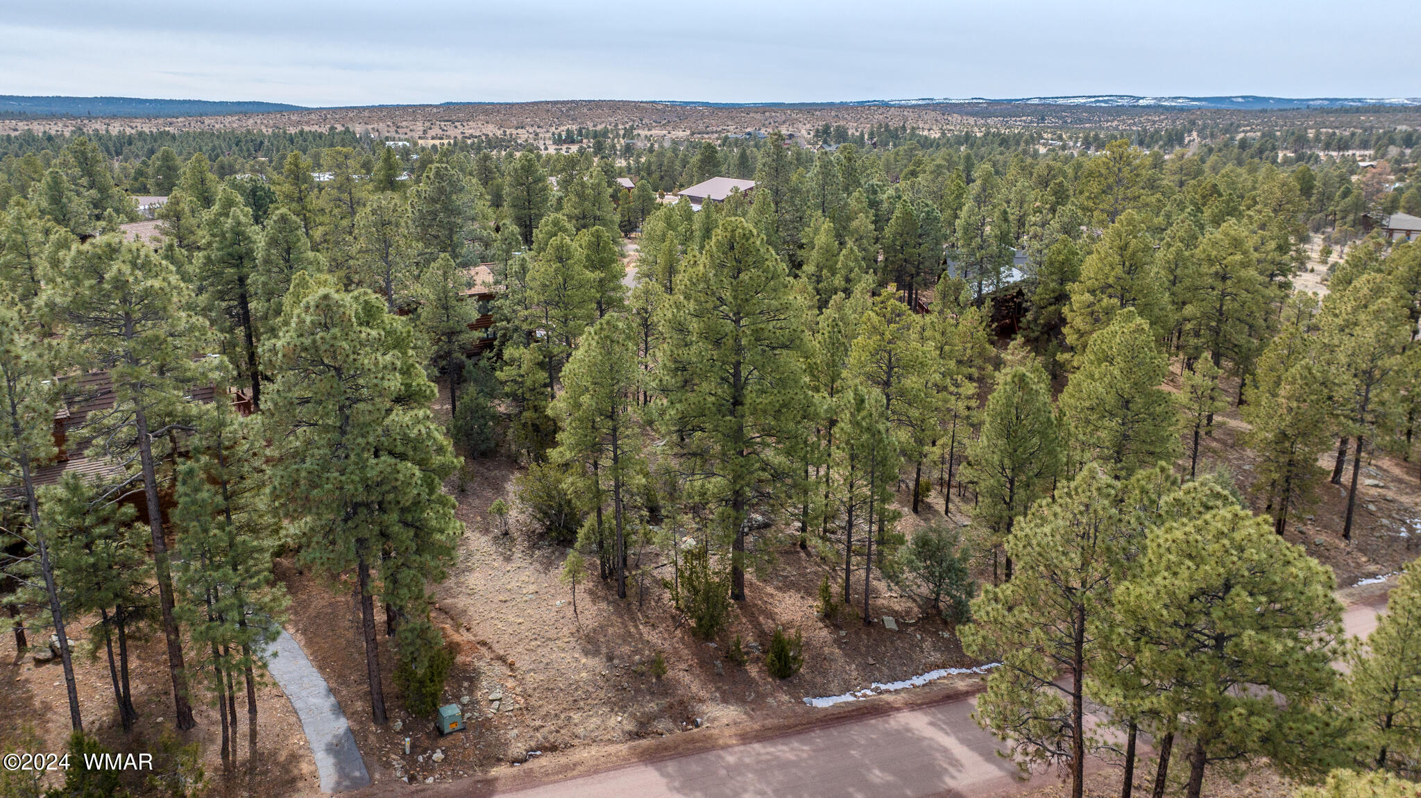 2273 Constellation Lane Overgaard, AZ 85933 - Photo 19 of 31