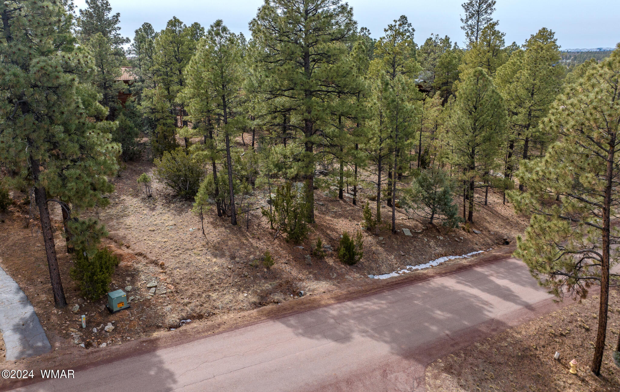 2273 Constellation Lane Overgaard, AZ 85933 - Photo 20 of 31