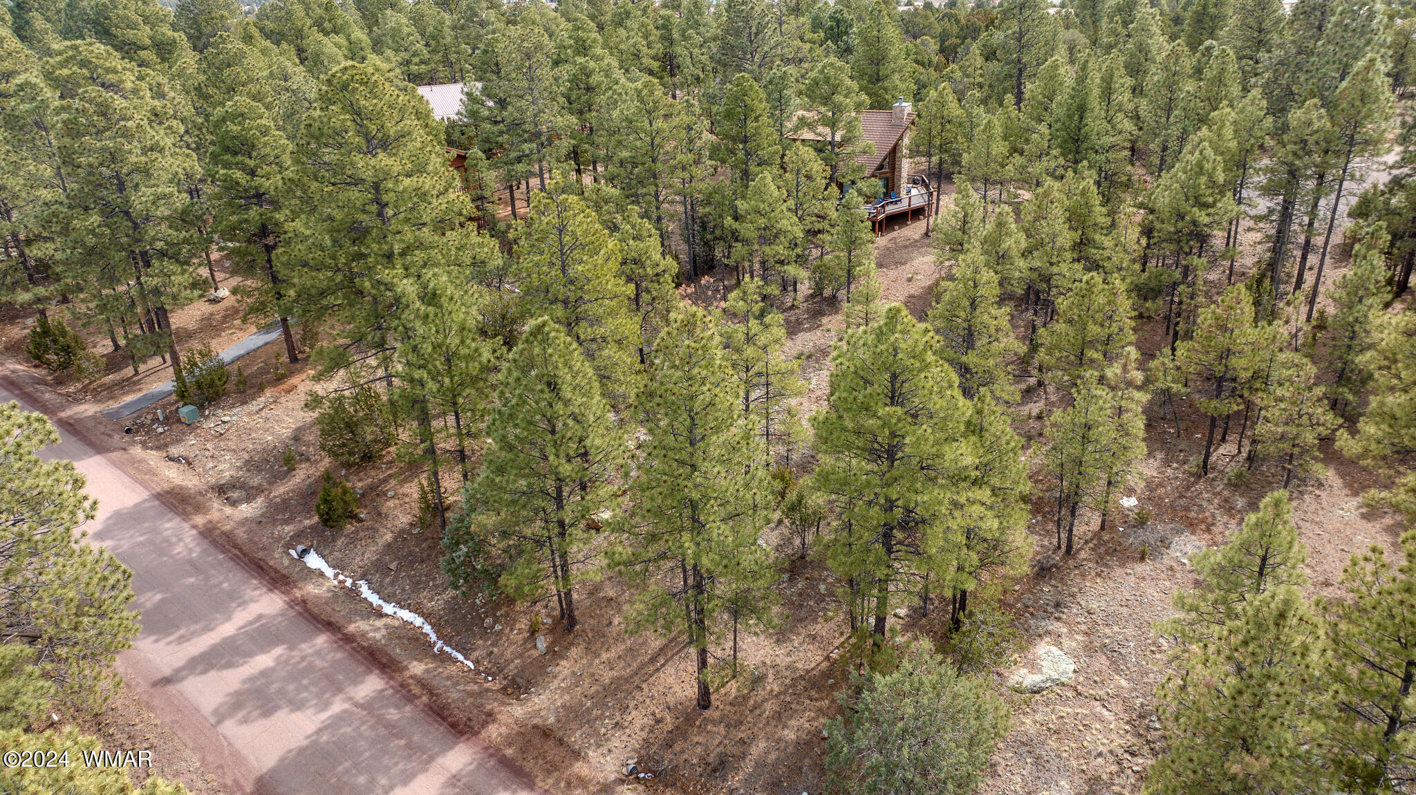 2273 Constellation Lane Overgaard, AZ 85933 - Photo 21 of 31