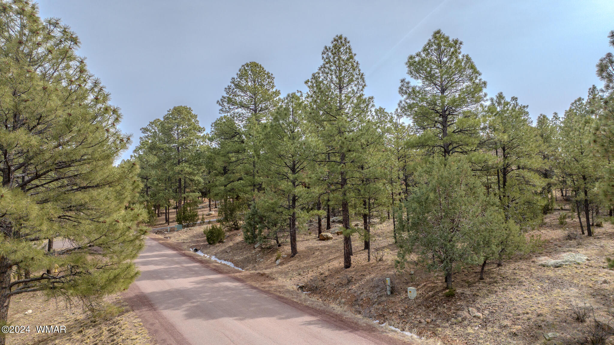 2273 Constellation Lane Overgaard, AZ 85933 - Photo 22 of 31
