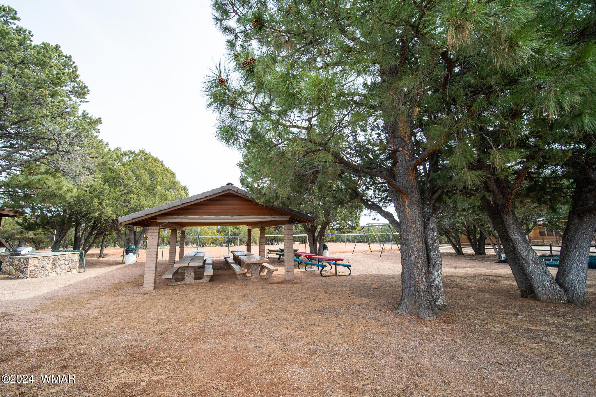 2273 Constellation Lane Overgaard, AZ 85933 - Photo 28 of 31