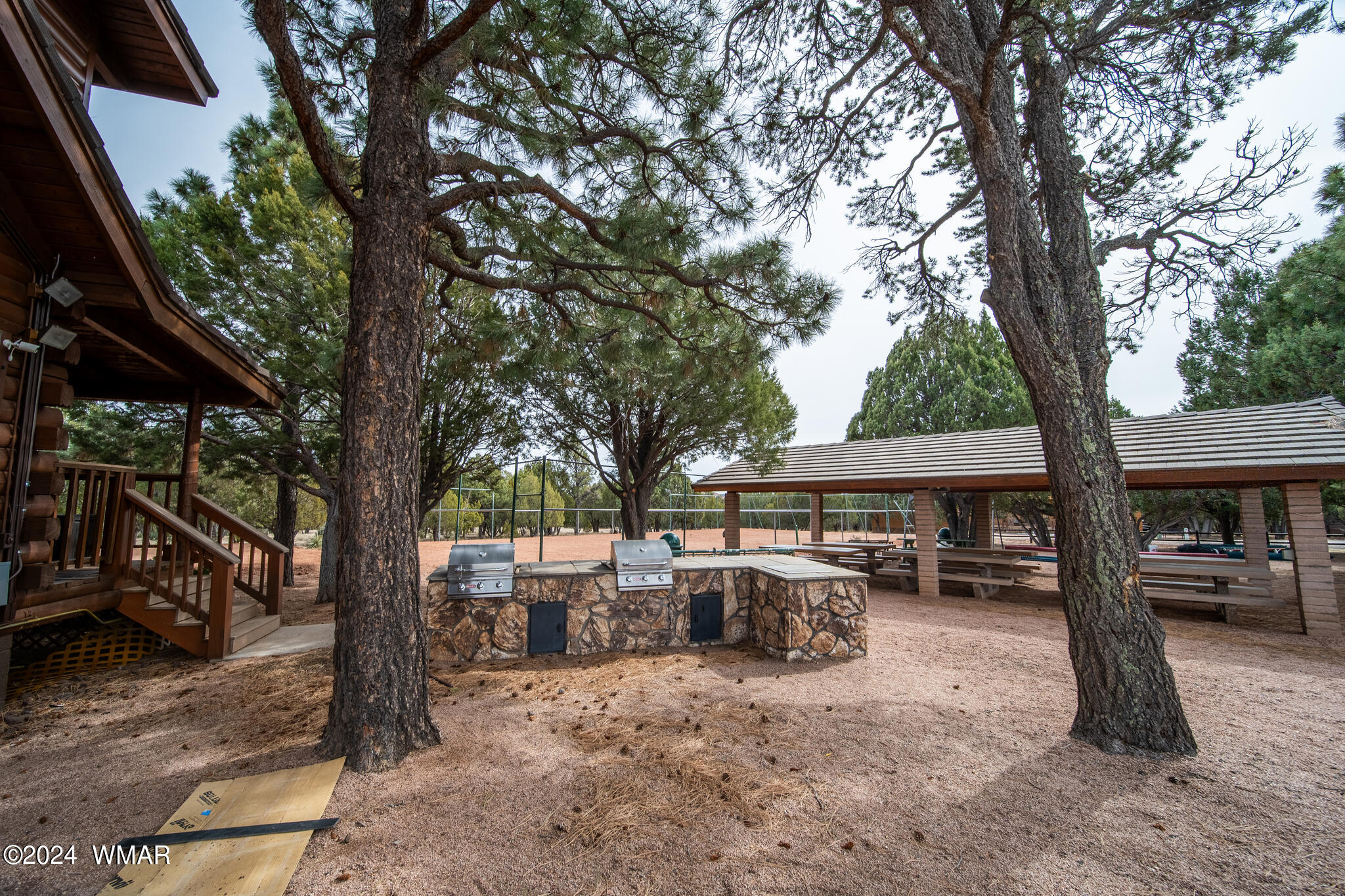 2273 Constellation Lane Overgaard, AZ 85933 - Photo 29 of 31