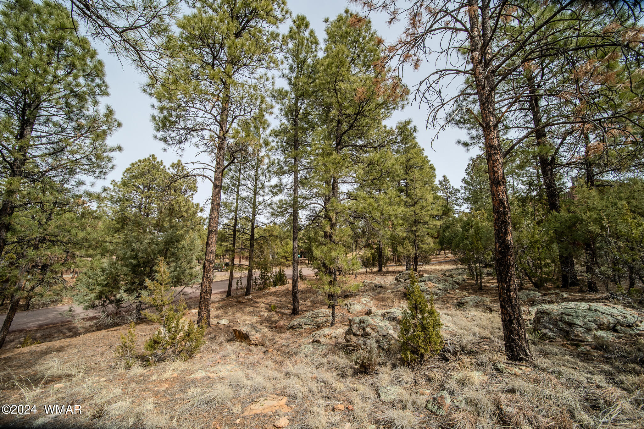 2273 Constellation Lane Overgaard, AZ 85933 - Photo 8 of 31