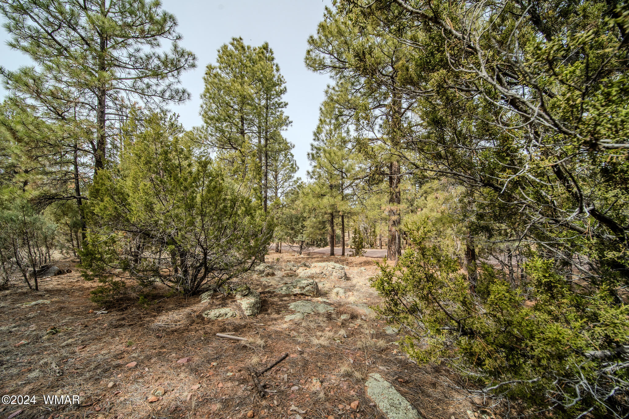 2273 Constellation Lane Overgaard, AZ 85933 - Photo 10 of 31