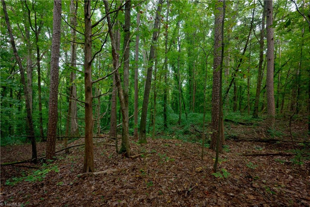 9651 Barnett Road Concord, NC 28027 - Photo 3 of 13 Gallery Image 3