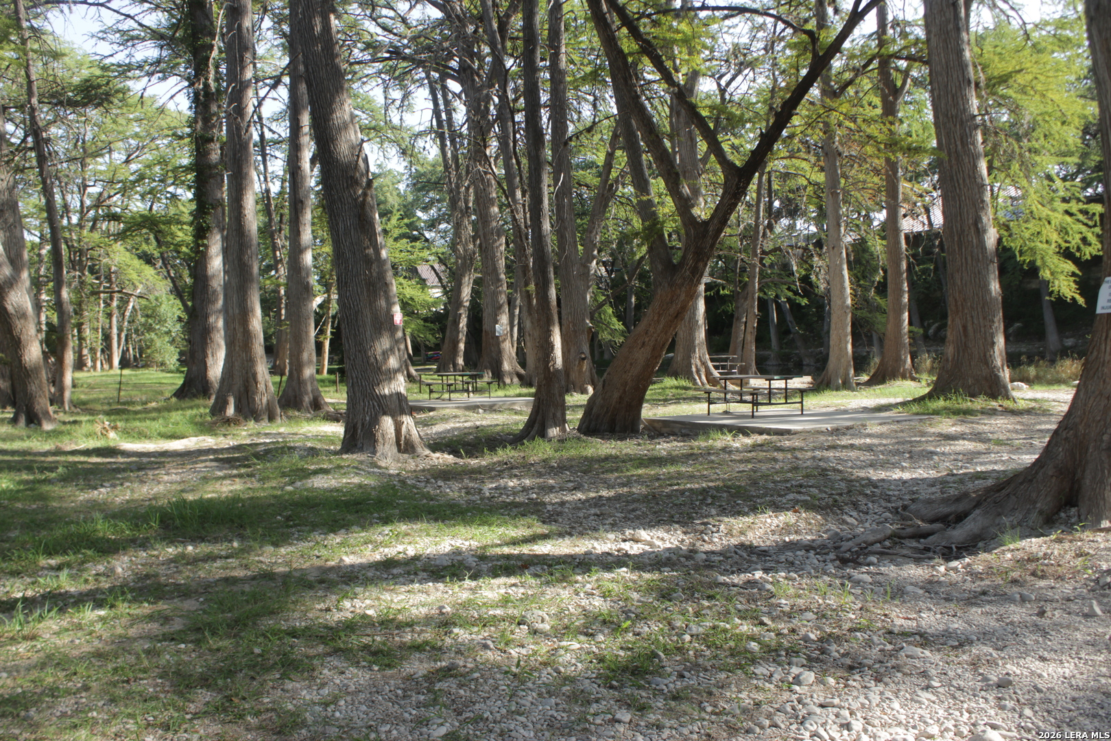 488 Rivertree Road Rio Frio, TX 78879 - Photo 19 of 28 Gallery Image 19