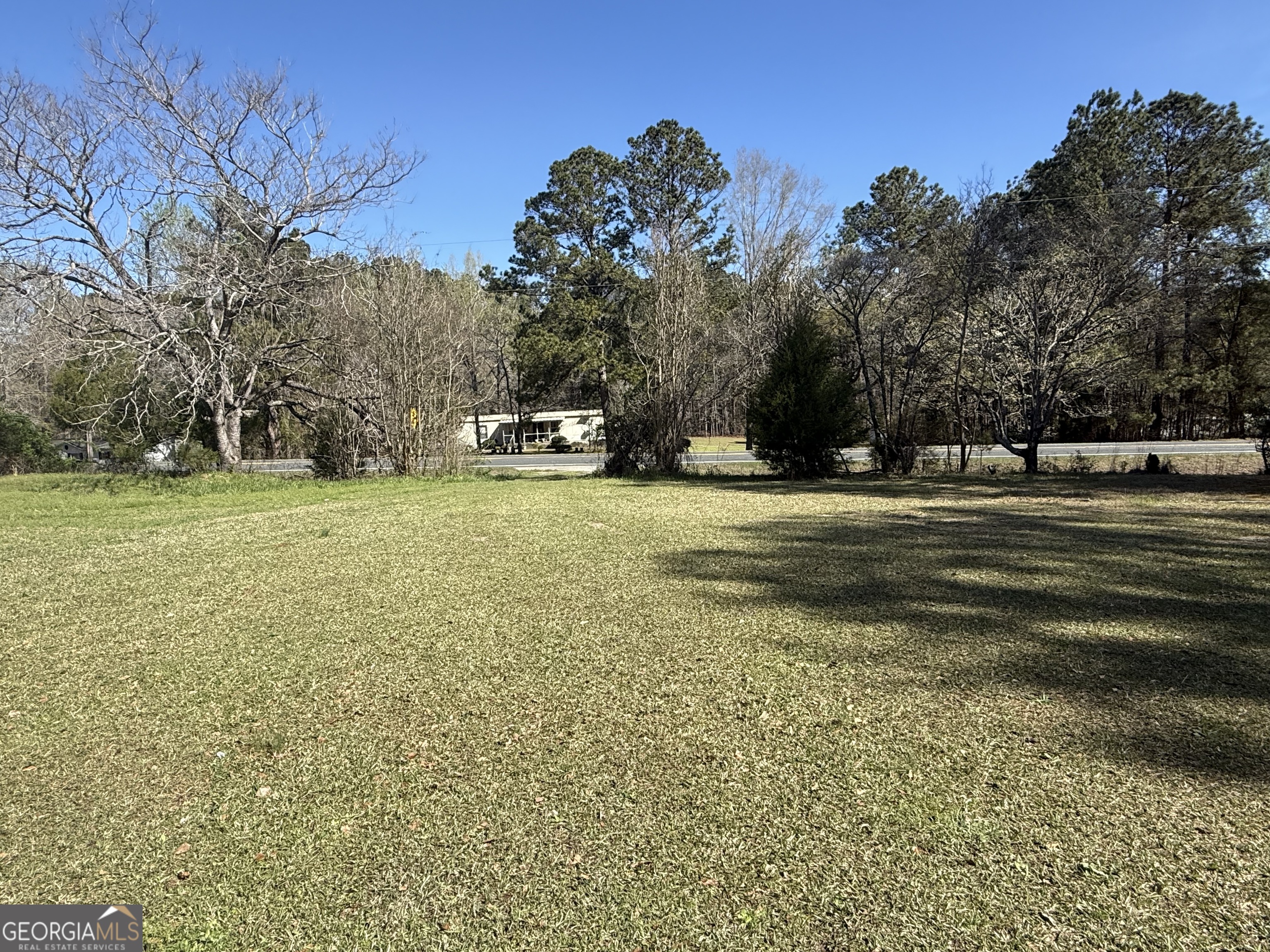 28 Brewer Road Jewell, GA 31045 - Photo 27 of 27 a view of a green field with trees in the background
