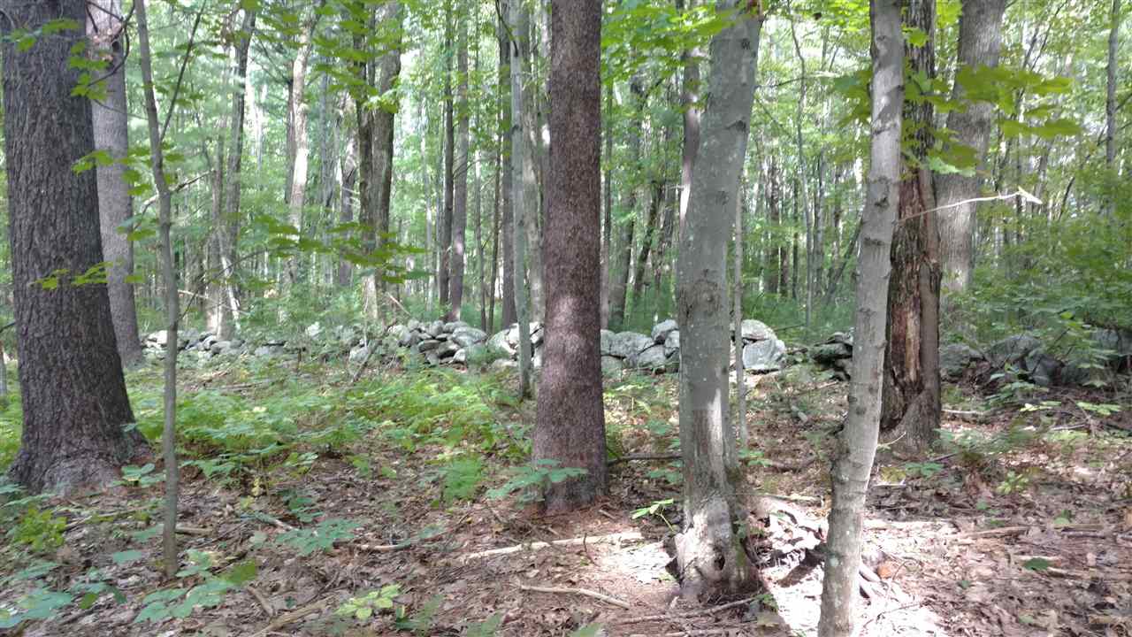 62.5 Lane Road Derry, NH 03038 - Photo 1 of 12