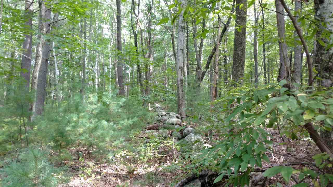 62.5 Lane Road Derry, NH 03038 - Photo 3 of 12