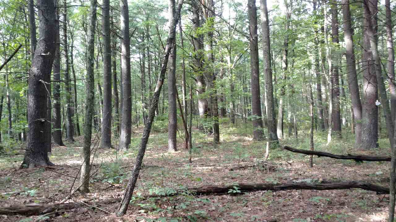 62.5 Lane Road Derry, NH 03038 - Photo 4 of 12