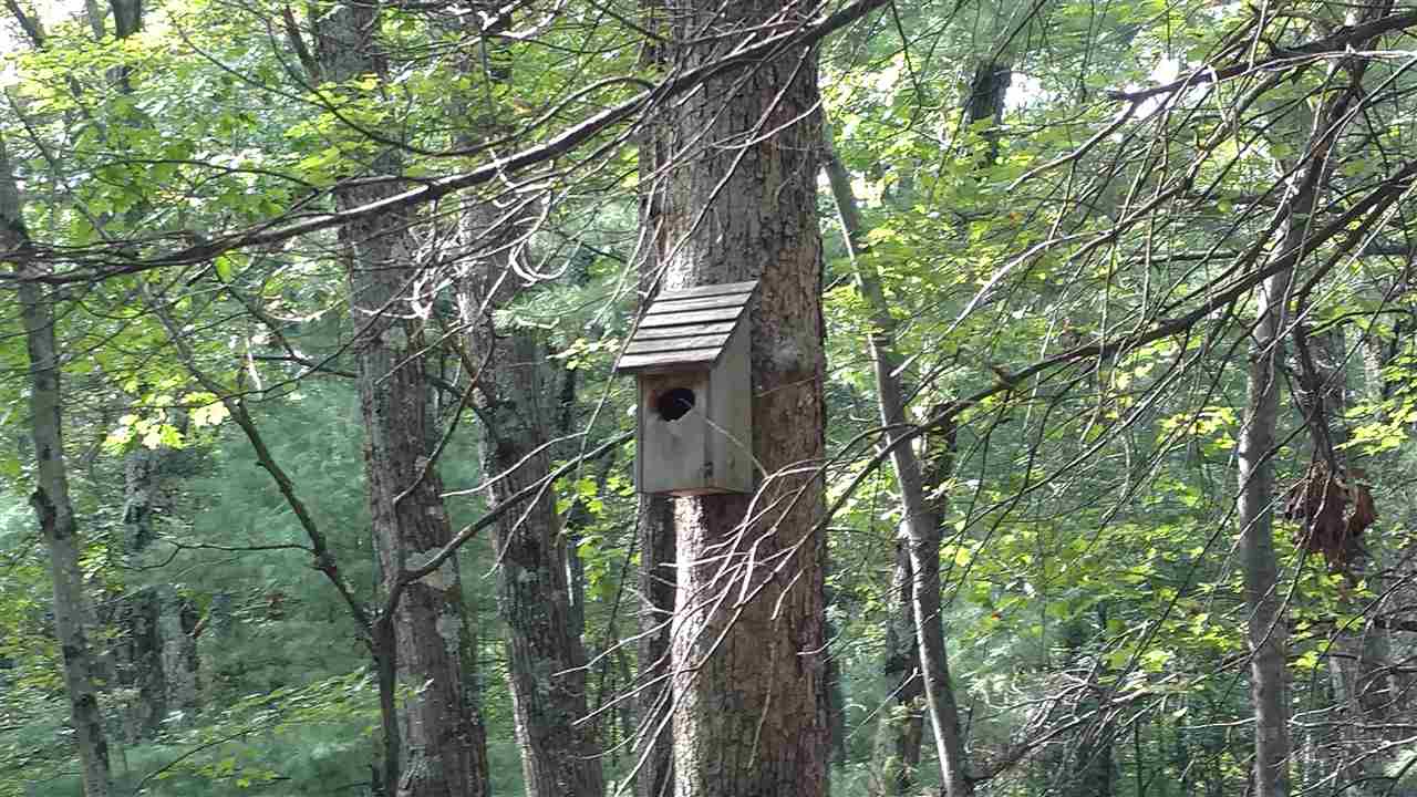 62.5 Lane Road Derry, NH 03038 - Photo 7 of 12