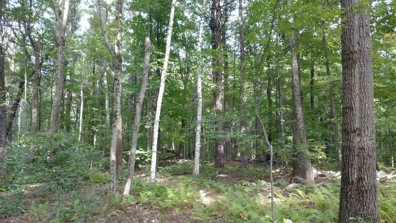 62.5 Lane Road Derry, NH 03038 - Photo 8 of 12