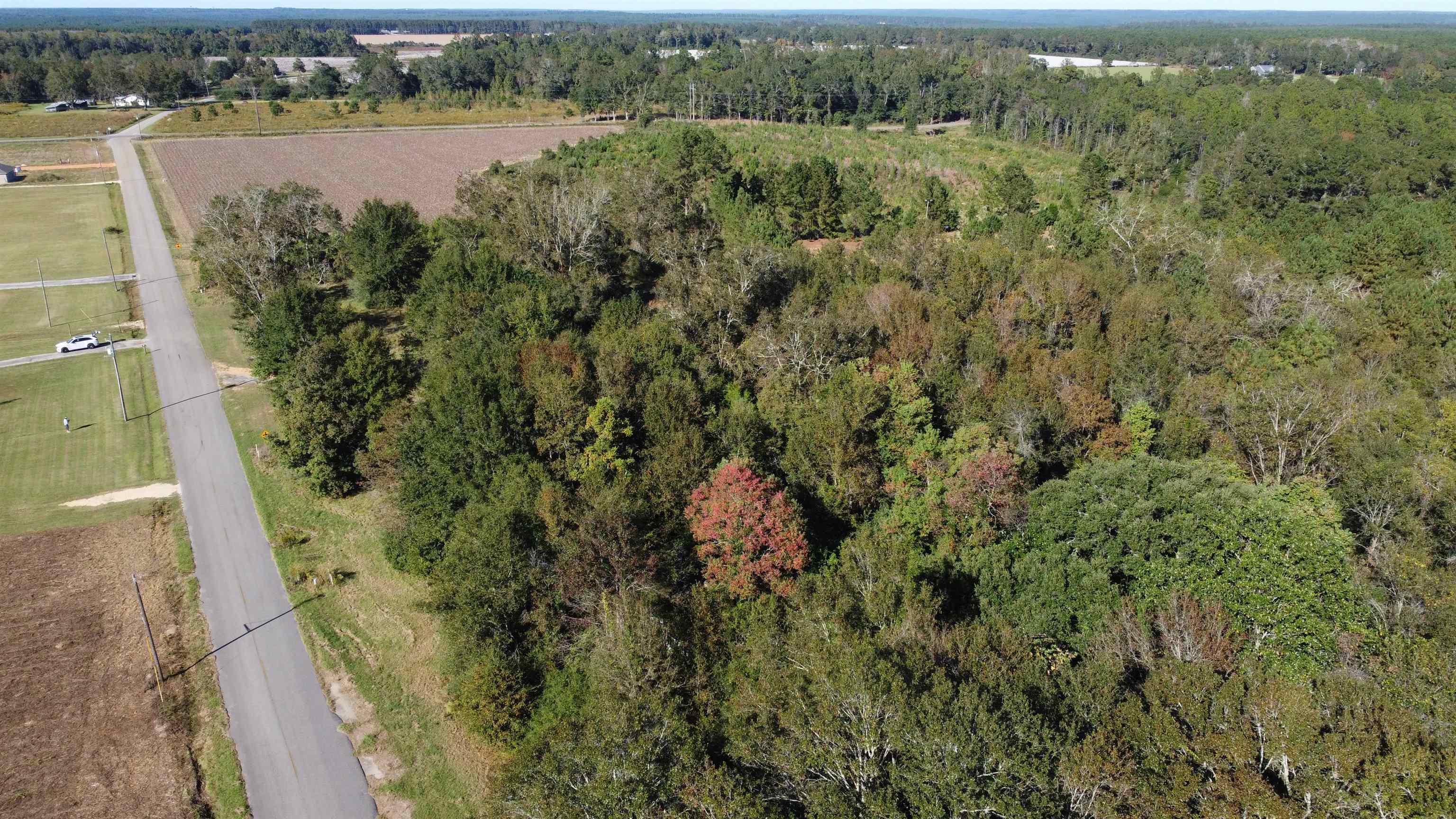 0 Cowpen Creek Road Atmore, AL 36502 - Photo 2 of 21