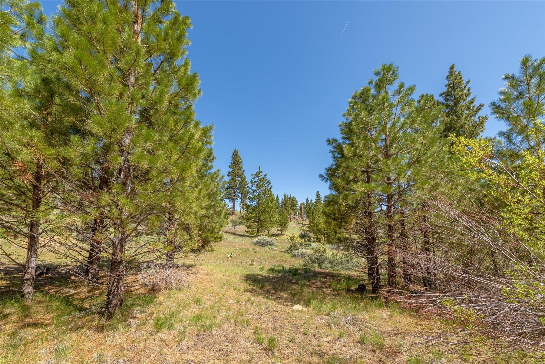 Feenune Road Loyalton, CA 96118 - Photo 26 of 28
