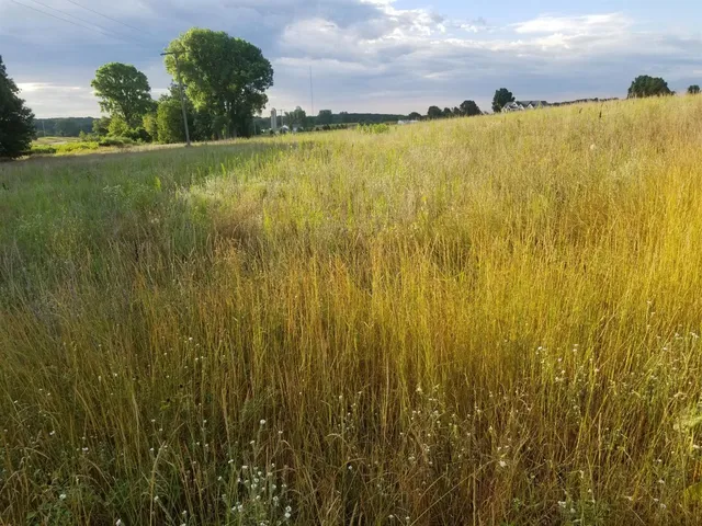 $110,000 | 859 Greystone Drive, Unit 13, Chelsea, MI 48118