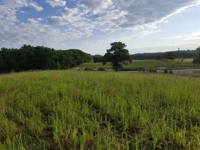 $110,000 | 859 Greystone Drive, Unit 13, Chelsea, MI 48118