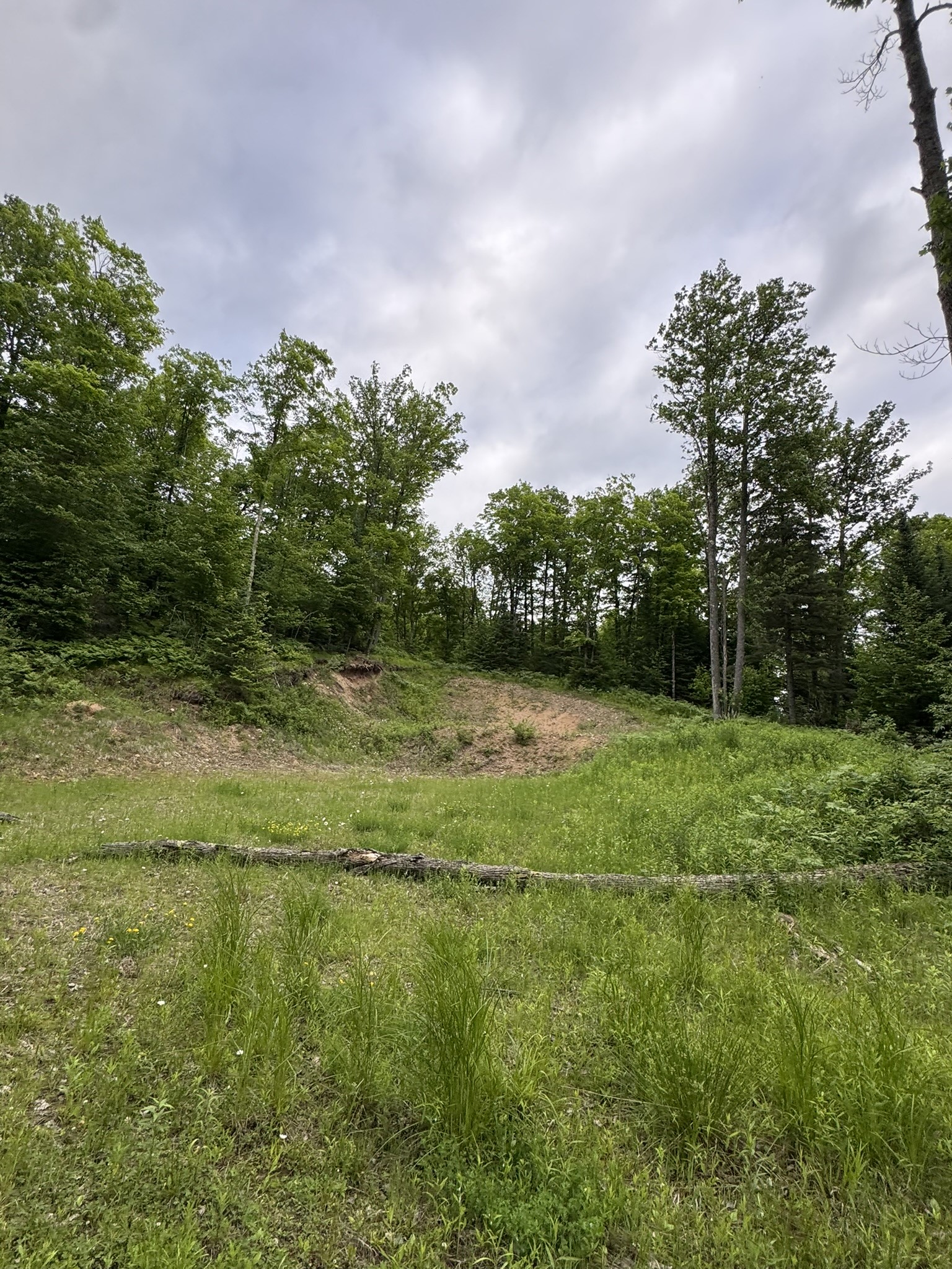75134 West Road Butternut, WI 54514 - Photo 11 of 35