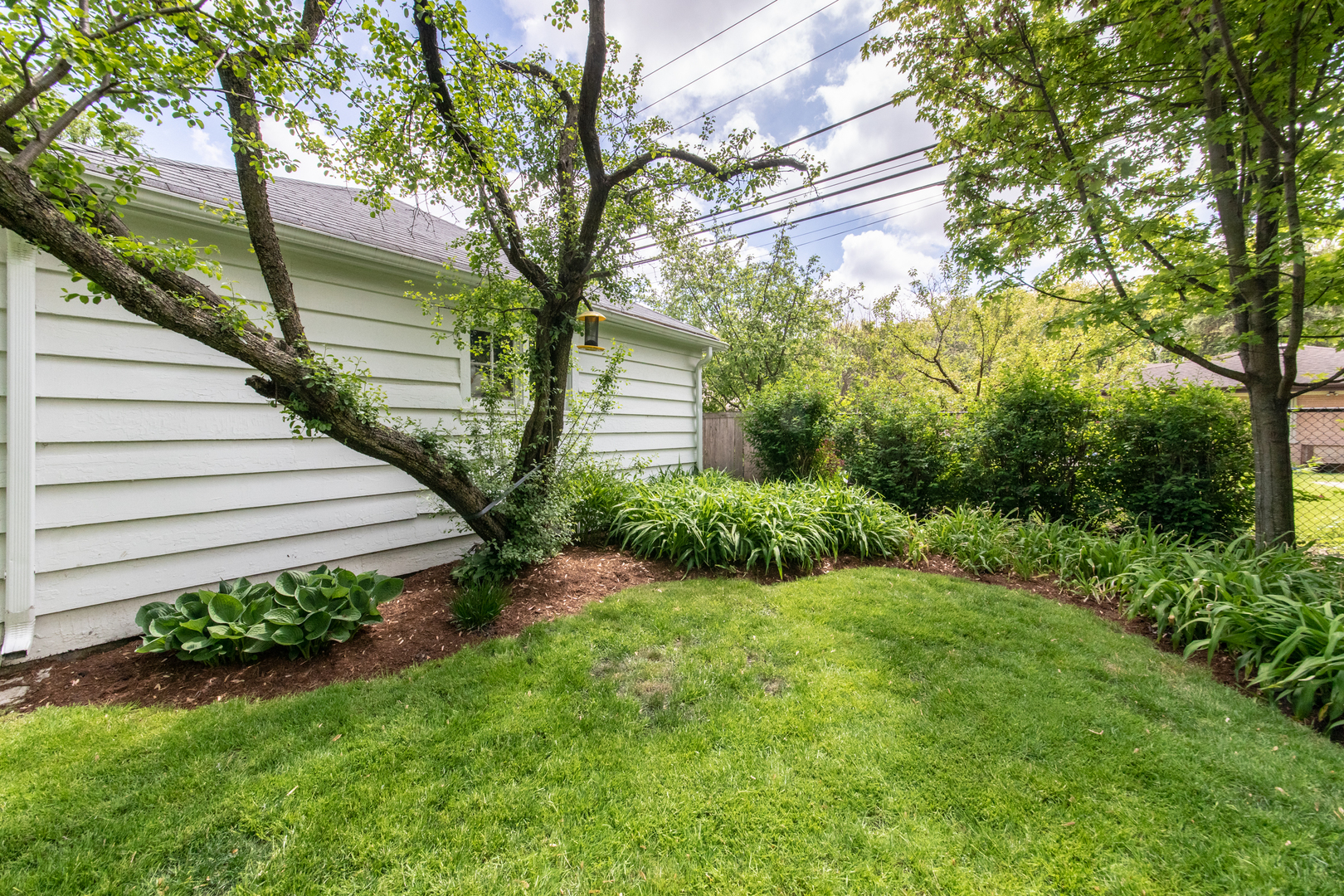 1116 South Aldine Avenue Park Ridge, IL 60068 - Photo 26 of 31 a view of a house with a yard
