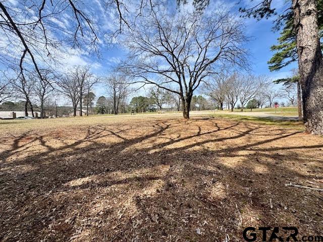 18328 Windjammer Place Flint, TX 75762 - Photo 1 of 7 a view of dirt yard with a large tree
