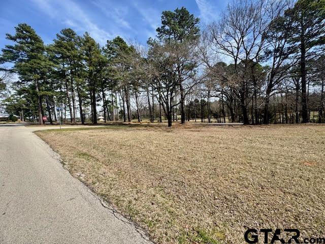 18328 Windjammer Place Flint, TX 75762 - Photo 4 of 7 a backyard of a house with trees