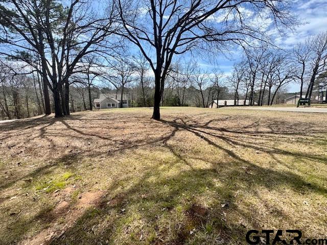 18328 Windjammer Place Flint, TX 75762 - Photo 6 of 7 a view of empty space with snow on the road
