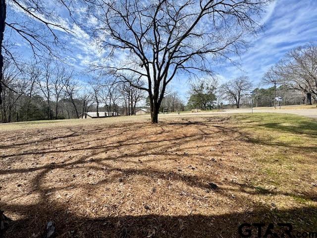 18328 Windjammer Place Flint, TX 75762 - Photo 7 of 7 a view of empty yard with large trees