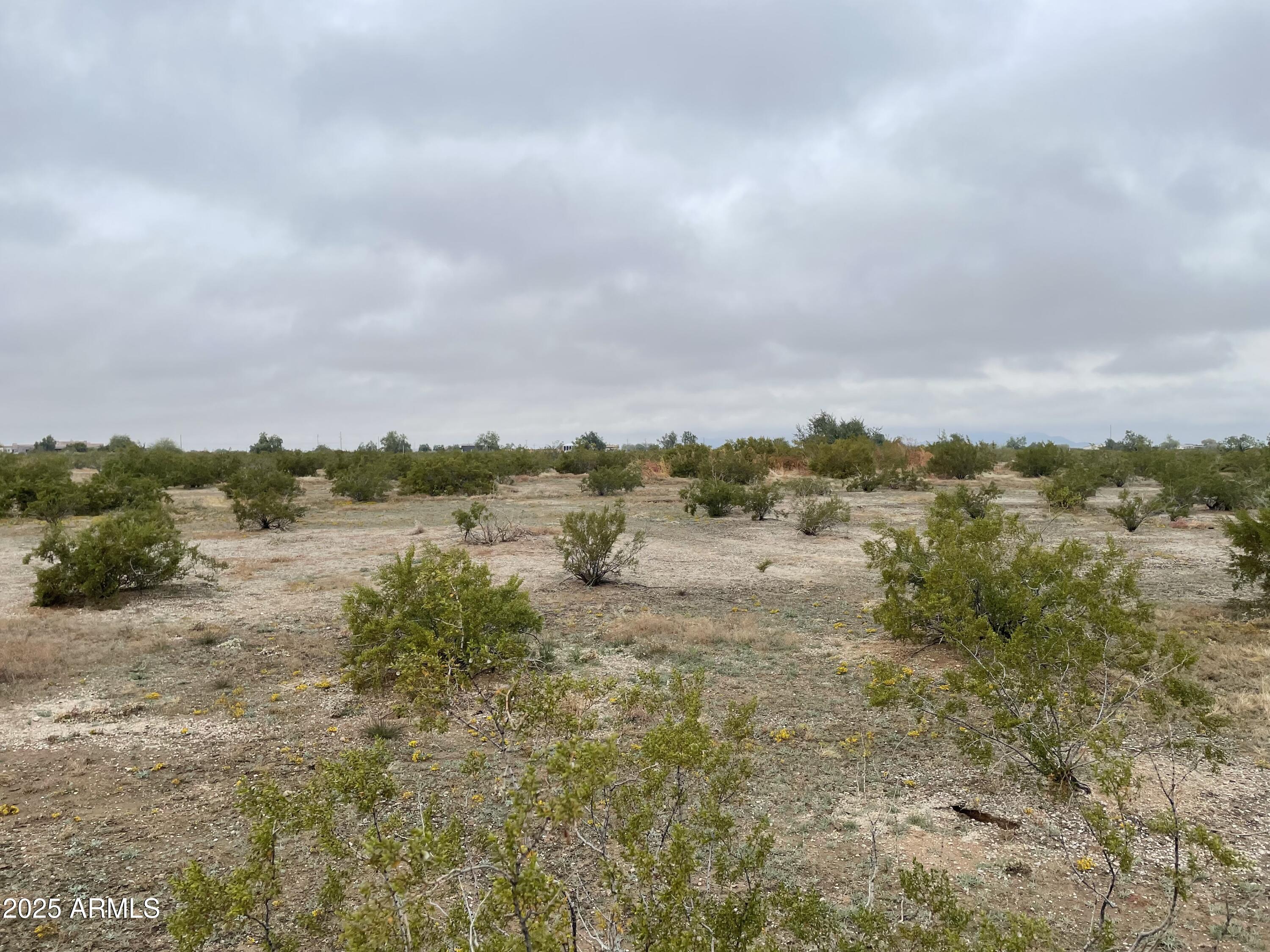 0 Th Buckeye, AZ 85326 - Photo 6 of 6 a view of a lake with trees in the background