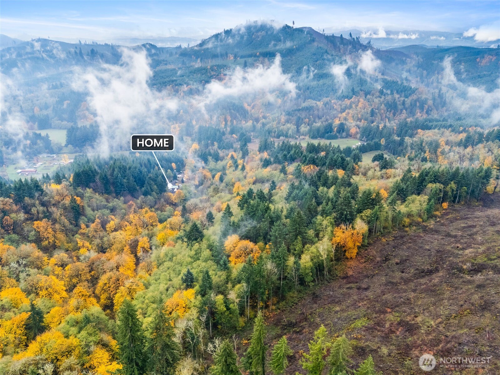 1586 King Road Winlock, WA 98596 - Photo 4 of 31