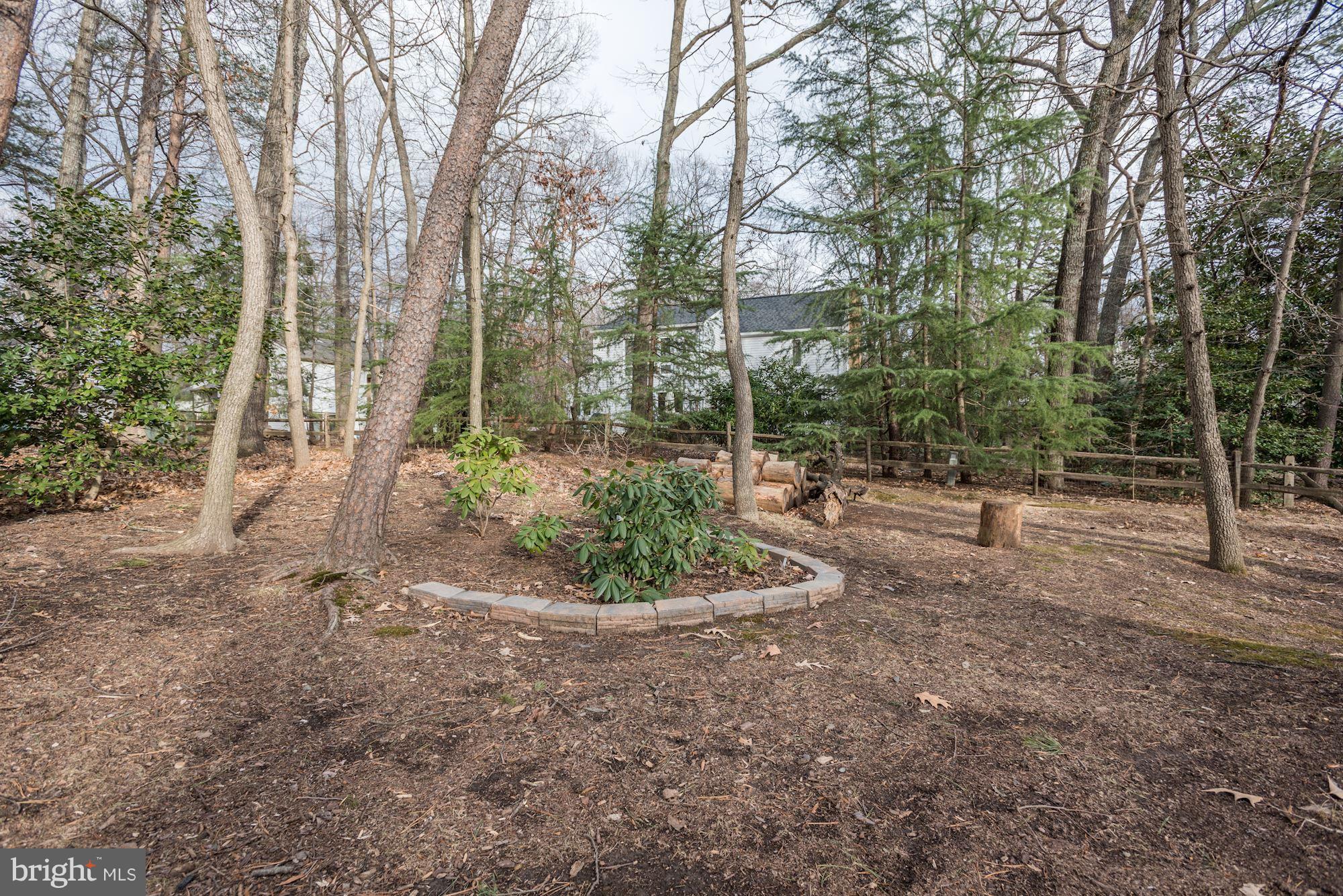 12352 Lima Lane Reston, VA 20191 - Photo 24 of 26 1/3 Acre Wooded Lot
