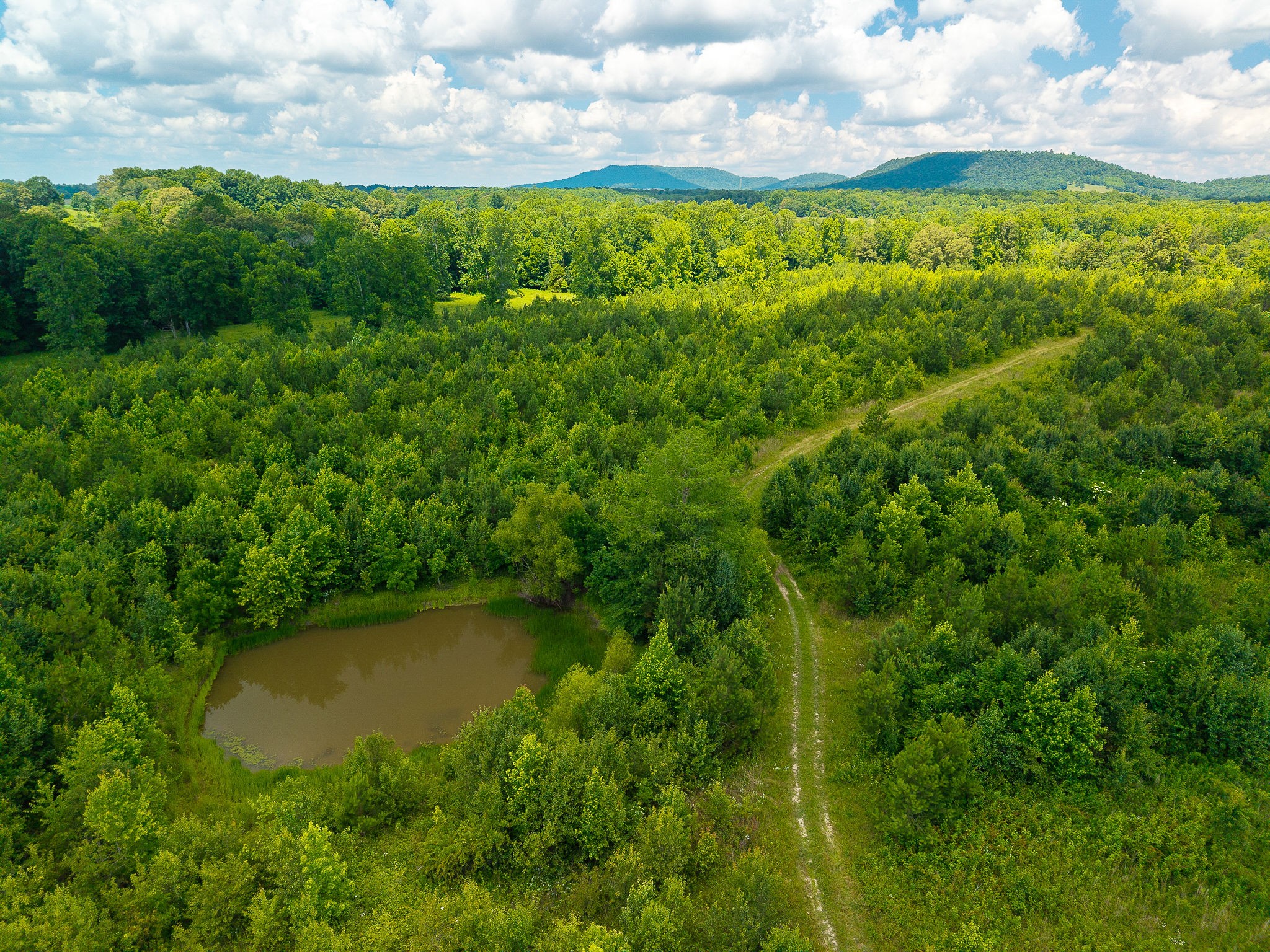0 Gunter Road McMinnville, TN 37110 - Photo 17 of 24