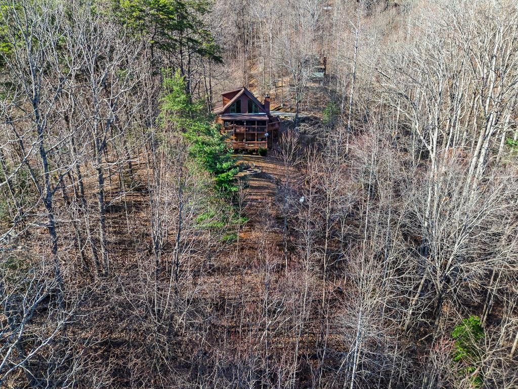 398 Outlook Road Murphy, NC 28906 - Photo 50 of 54