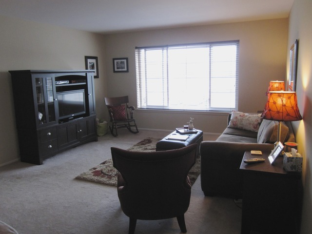1455 Shermer Road, Unit 202C Northbrook, IL 60062 - Photo 3 of 11