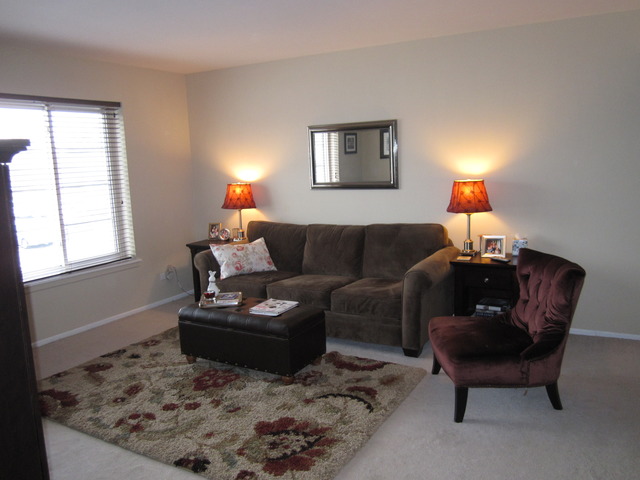 1455 Shermer Road, Unit 202C Northbrook, IL 60062 - Photo 4 of 11