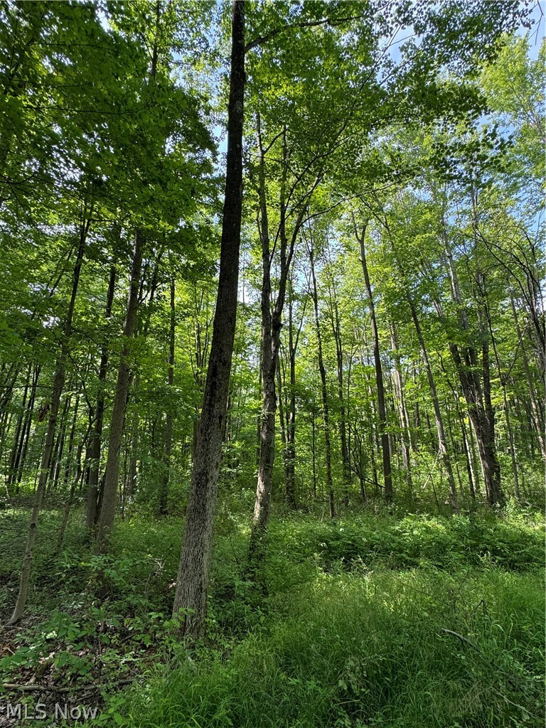 5 Leroy Center Road Thompson, OH 44086 - Photo 11 of 20