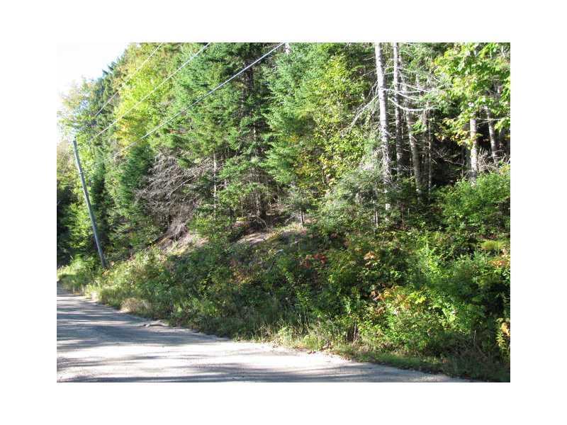 Lot 36 Edelheid Road Sandy River Plt, ME 04970 - Photo 2 of 3 Land/Lot.